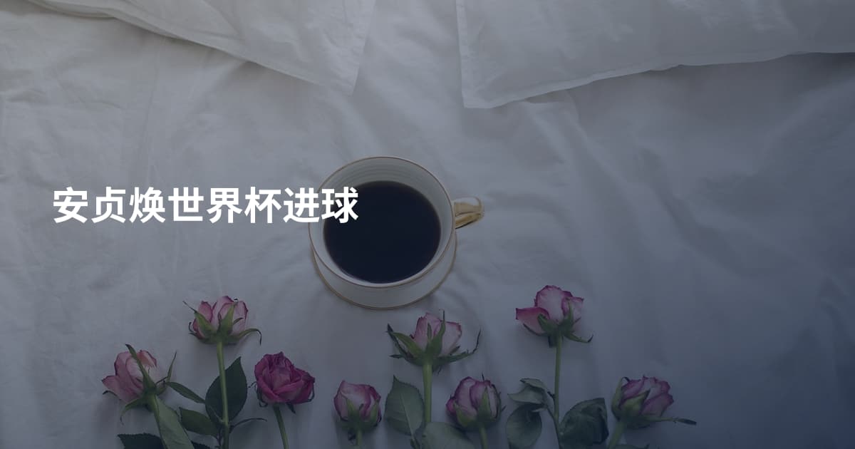 安贞焕世界杯进球