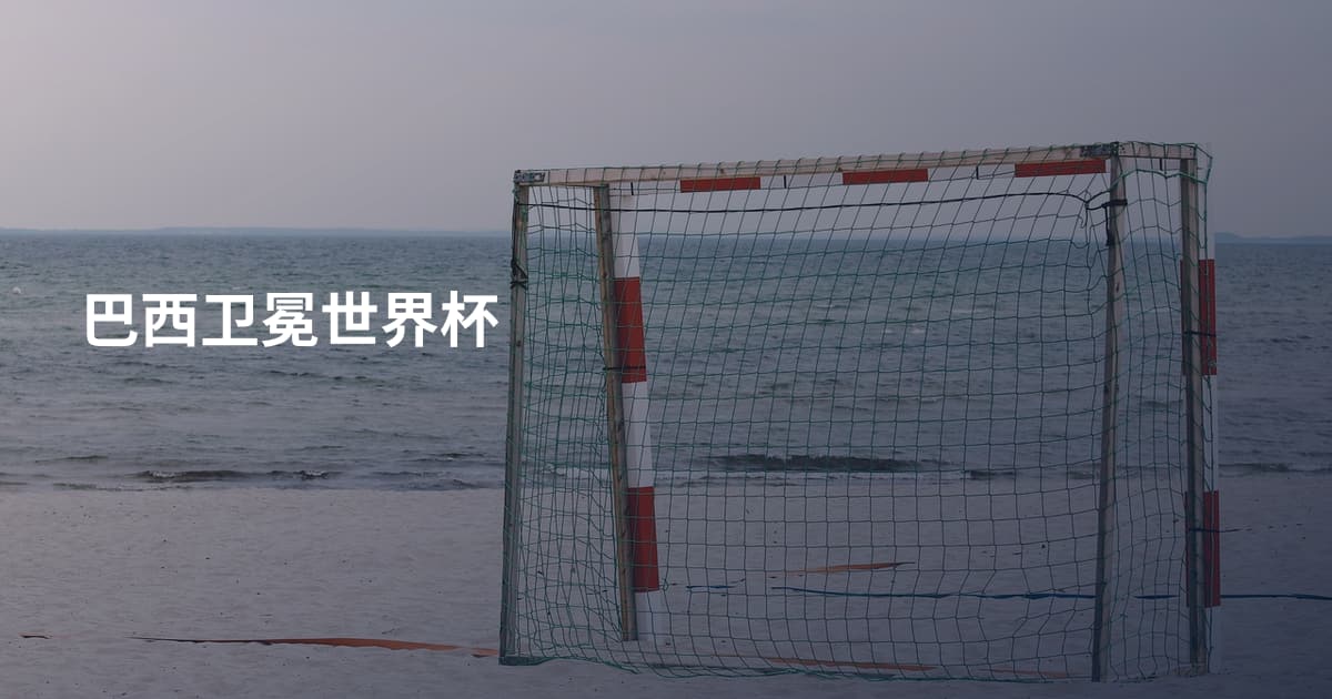 巴西卫冕世界杯