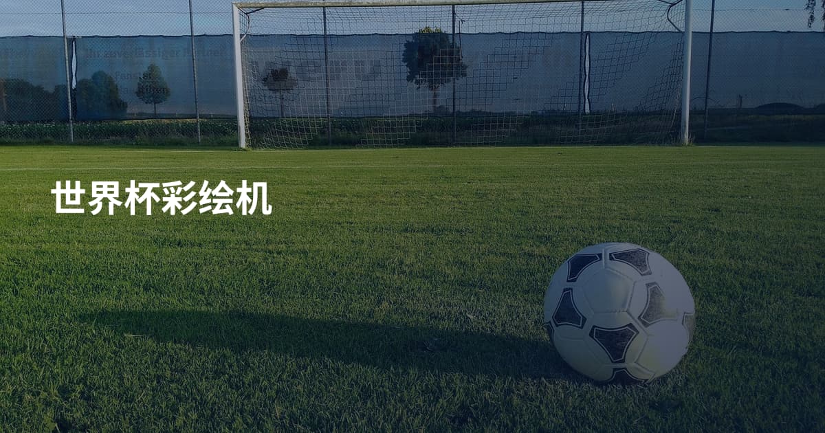 世界杯彩绘机