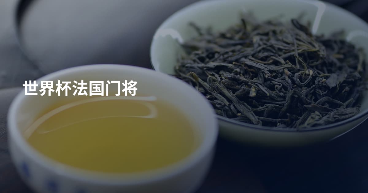 世界杯法国门将
