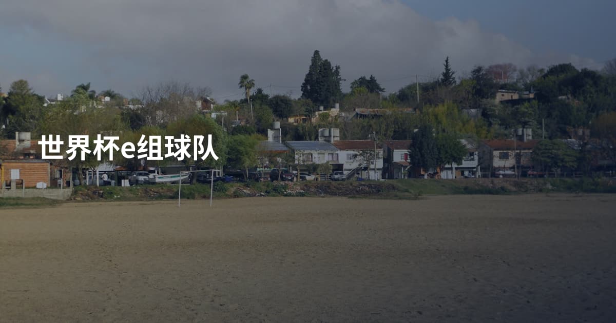 世界杯e组球队