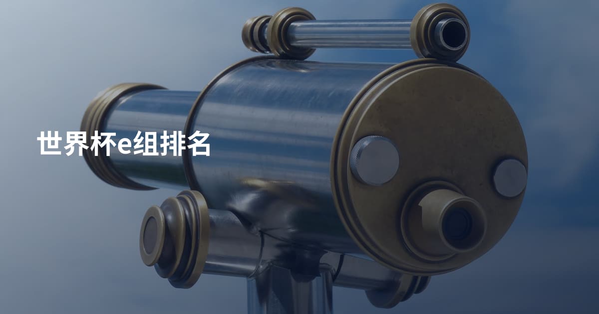 世界杯e组排名
