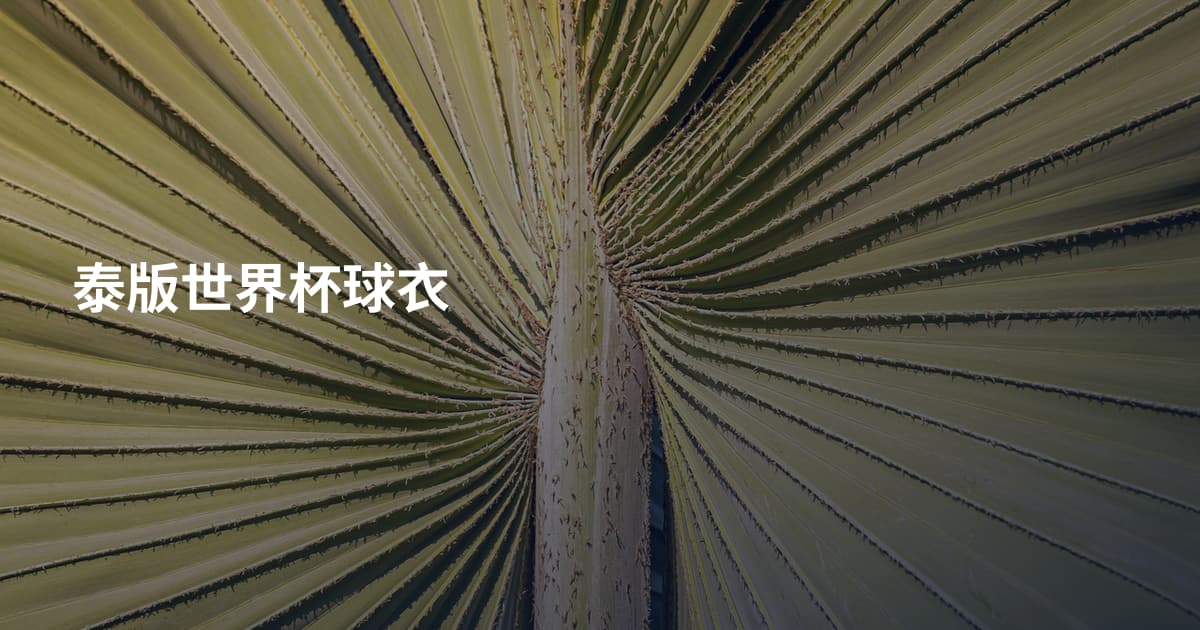 泰版世界杯球衣