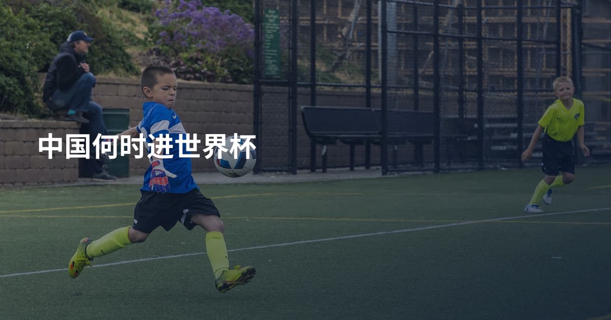 中国何时进世界杯