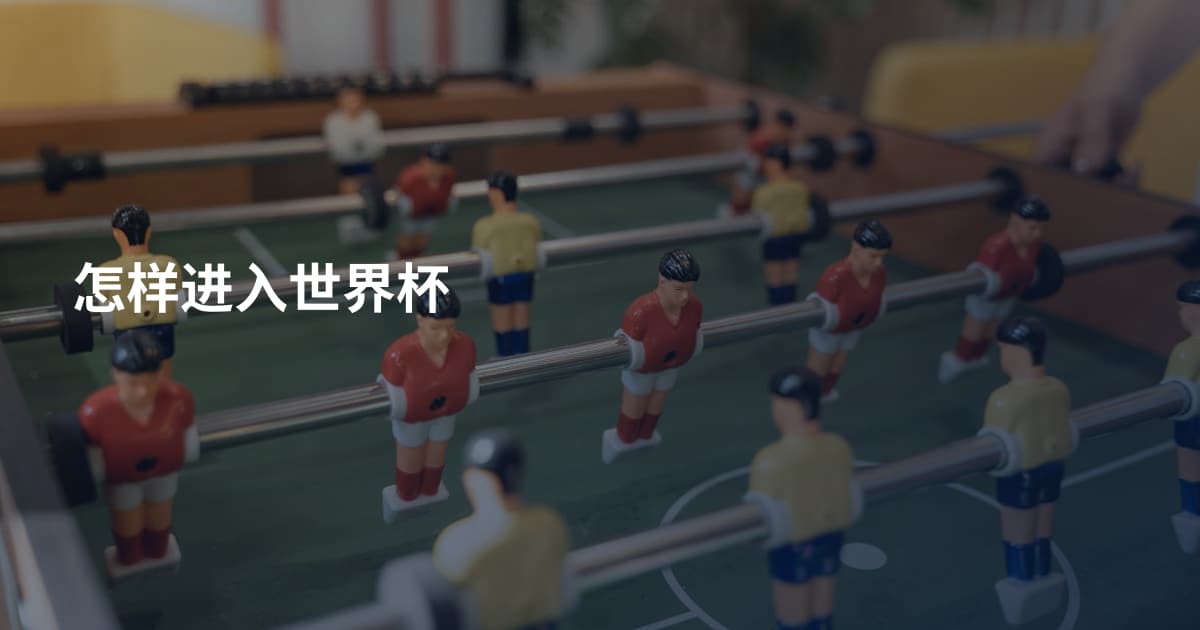 怎样进入世界杯