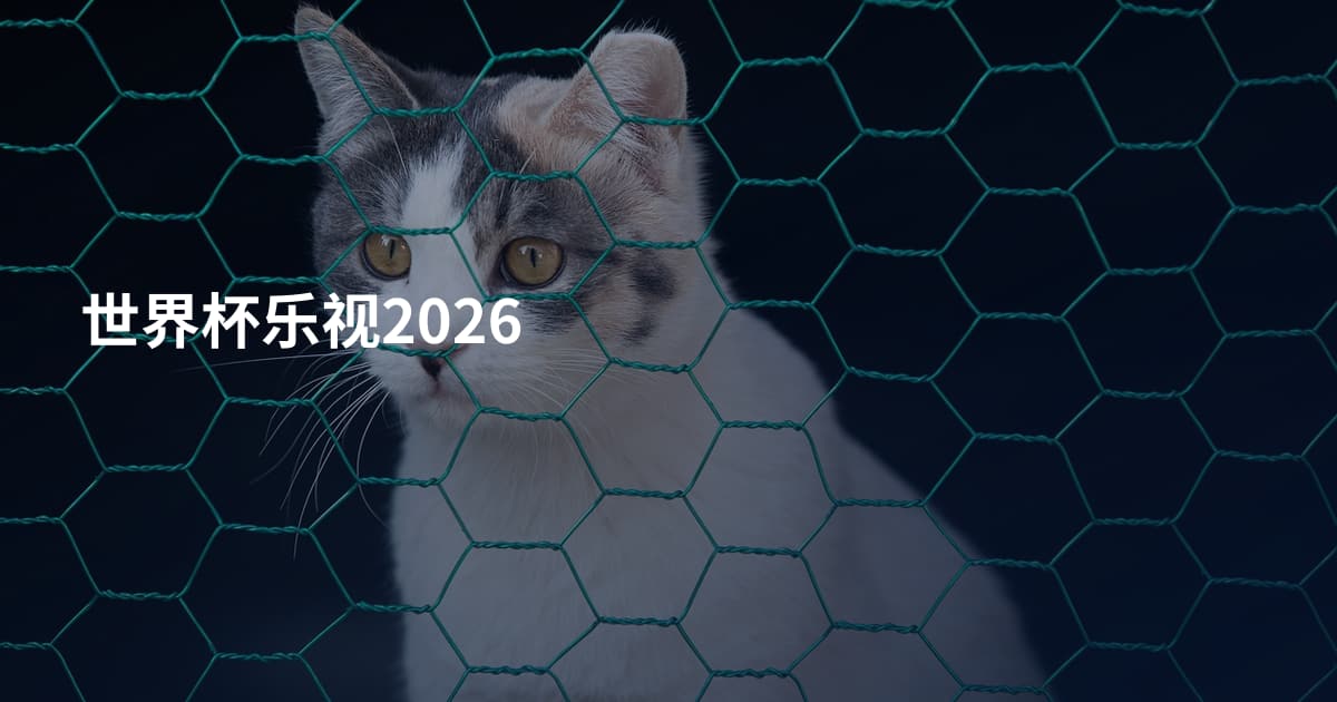 世界杯乐视2026