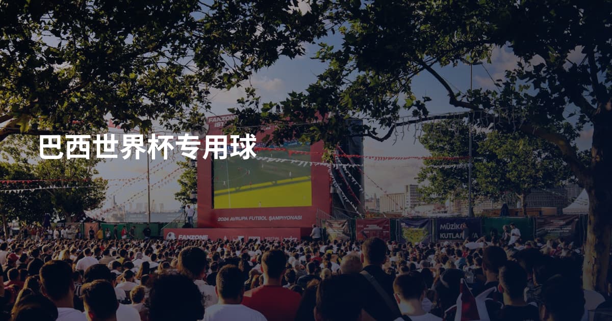 巴西世界杯专用球