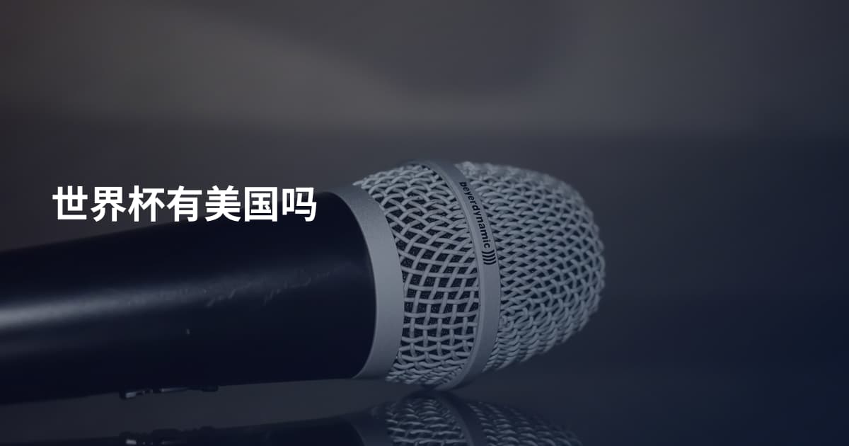 世界杯有美国吗