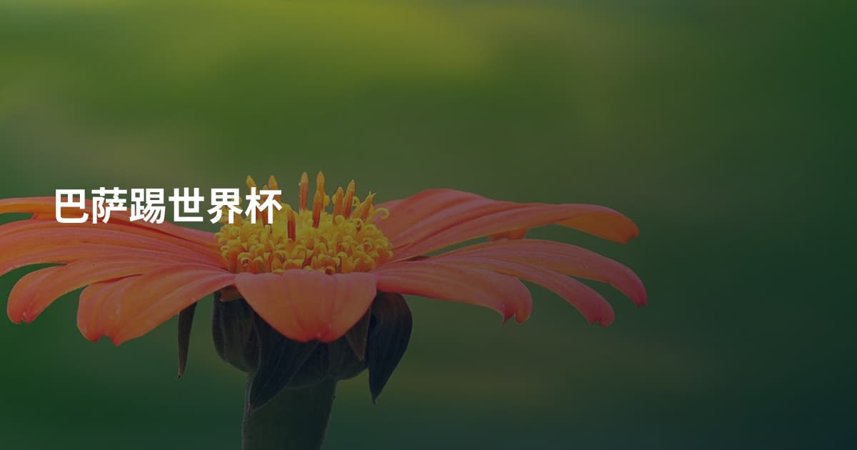 巴萨踢世界杯