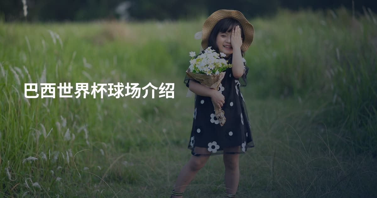 巴西世界杯球场介绍