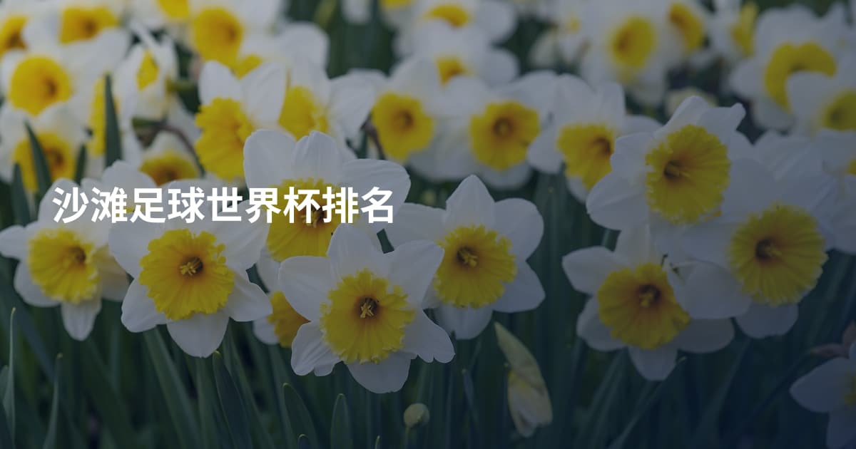 沙滩足球世界杯排名