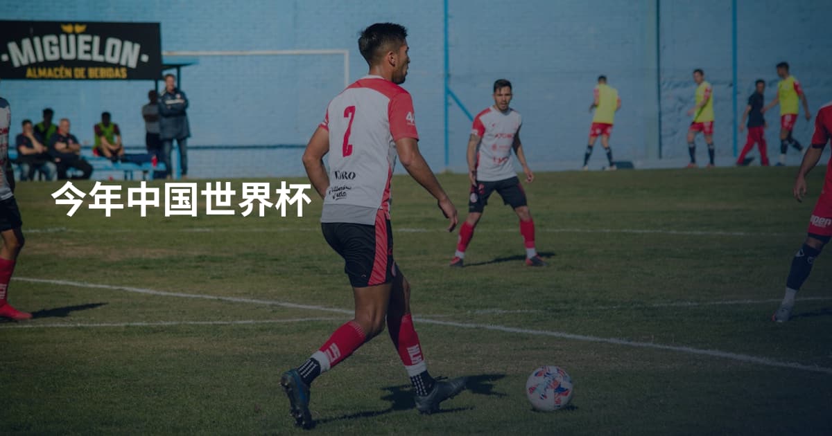 今年中国世界杯