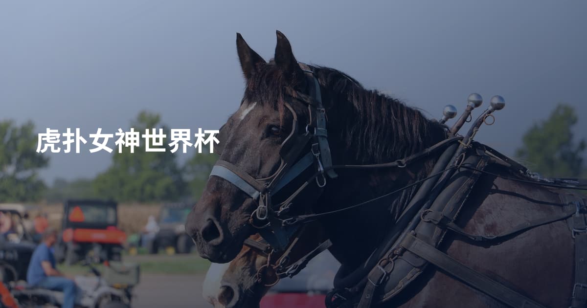 虎扑女神世界杯