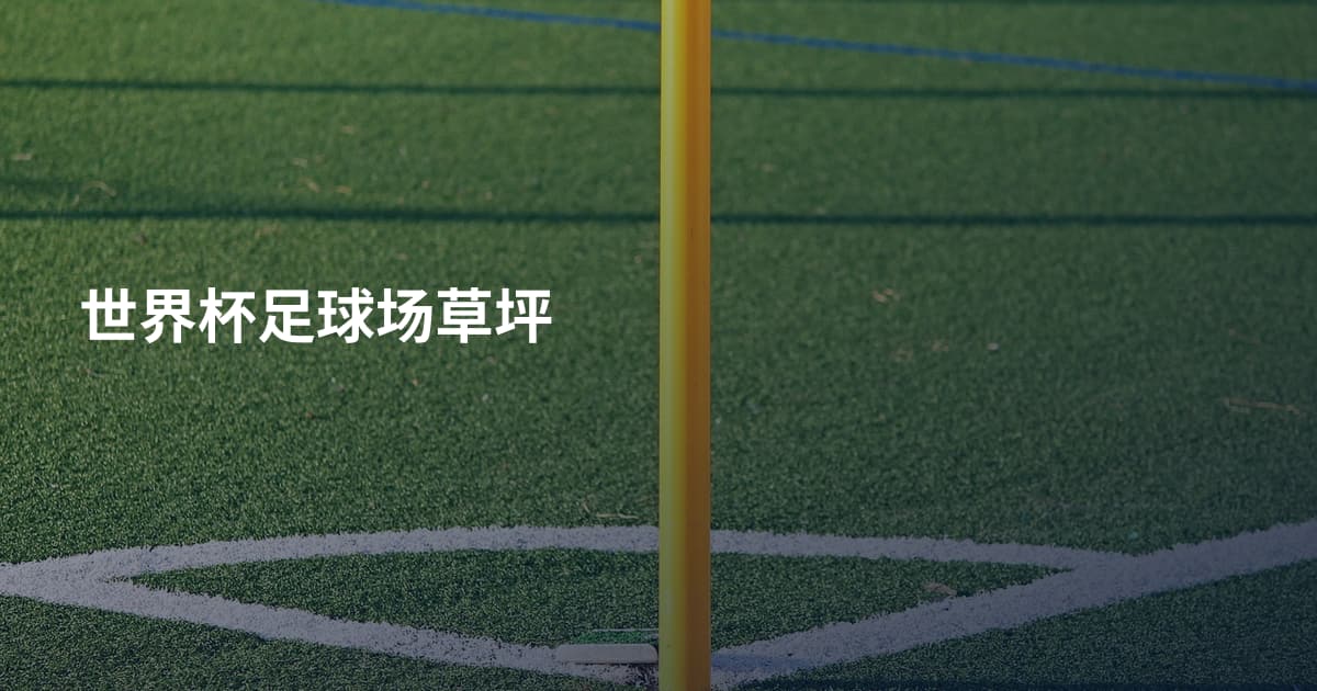 世界杯足球场草坪