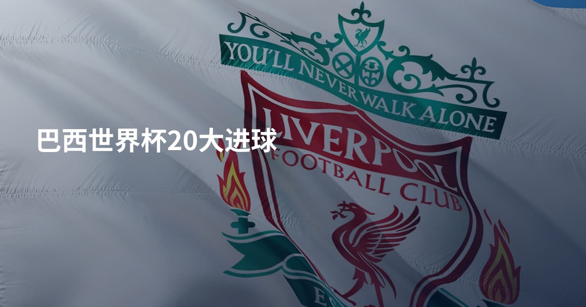 巴西世界杯20大进球