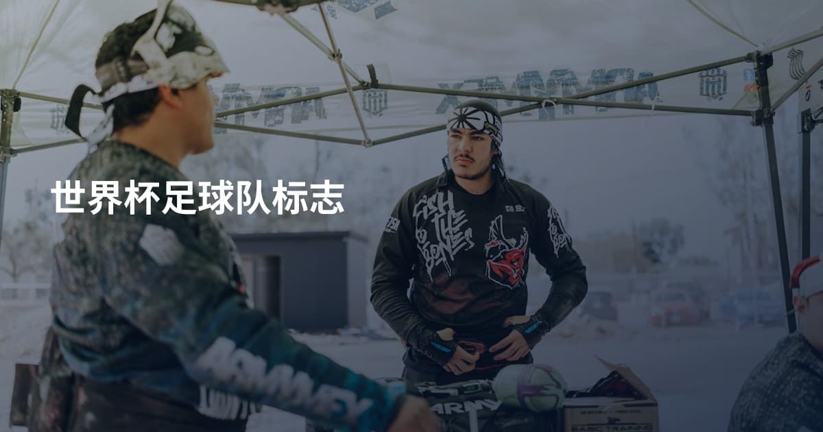 世界杯足球队标志