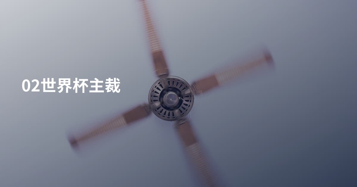 02世界杯主裁