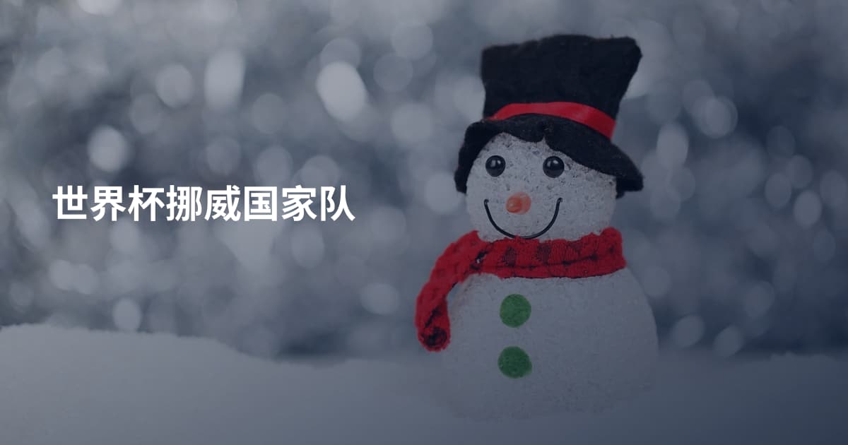 世界杯挪威国家队