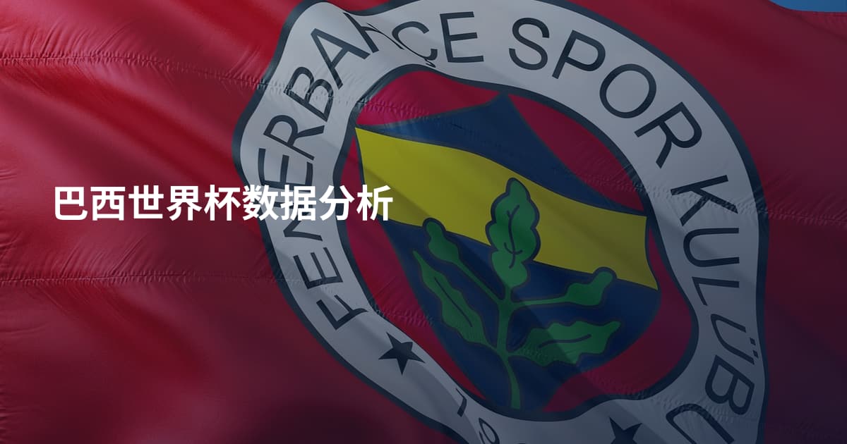 巴西世界杯数据分析