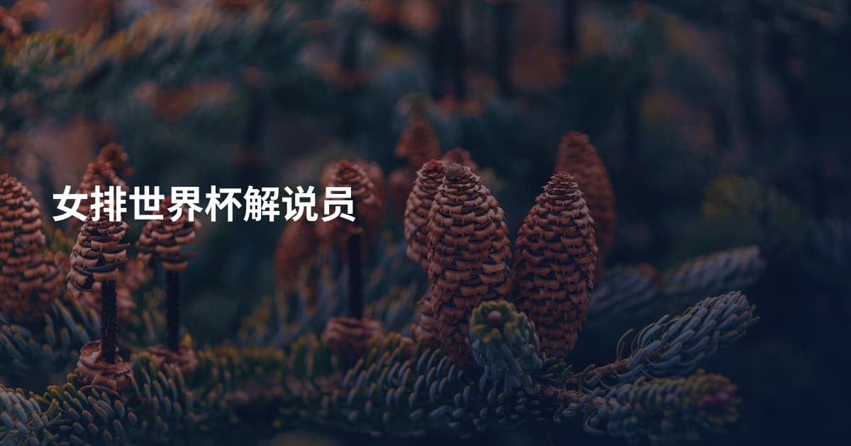 女排世界杯解说员