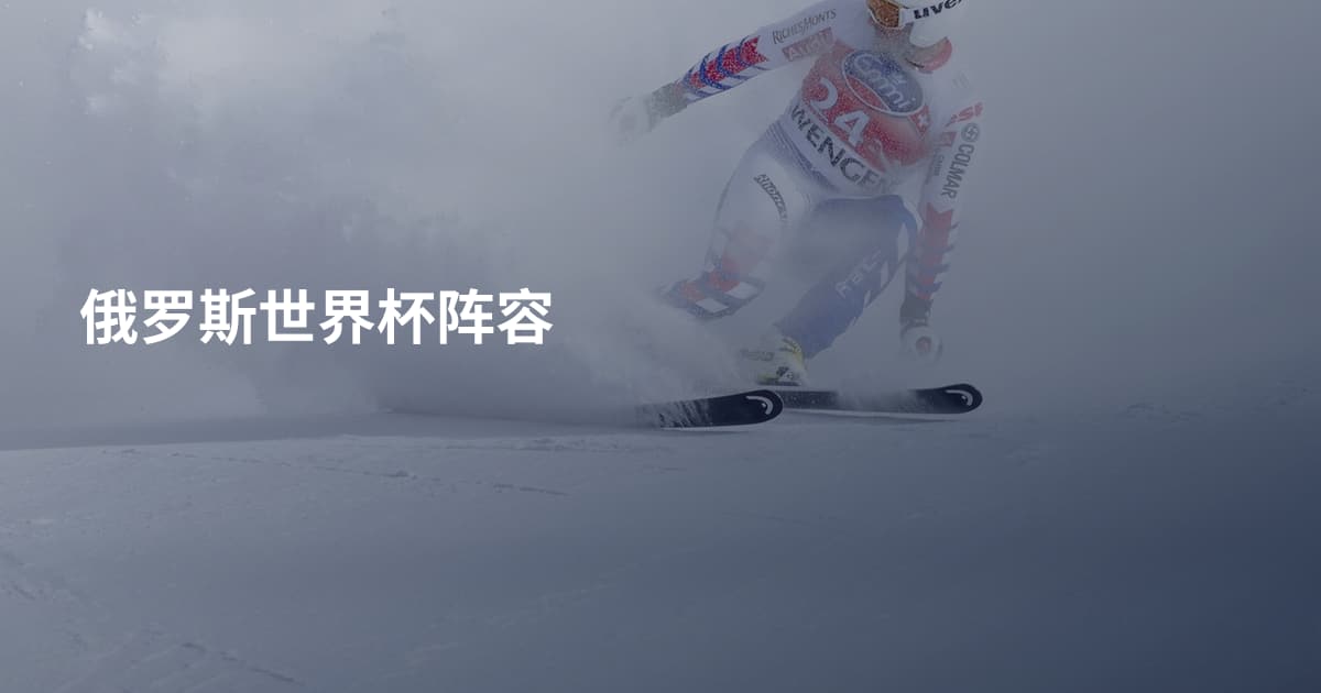 俄罗斯世界杯阵容