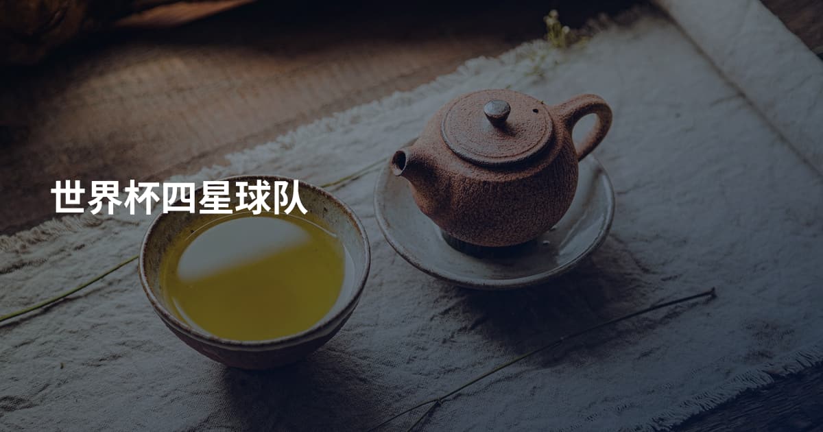 世界杯四星球队