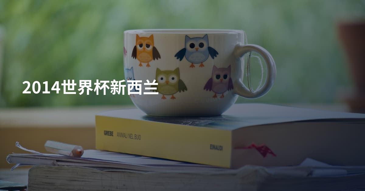 2014世界杯新西兰