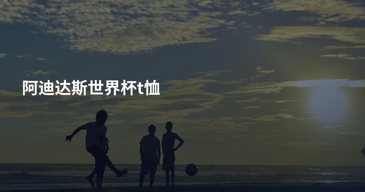 阿迪达斯世界杯t恤