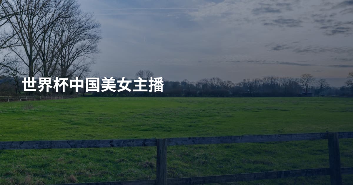 世界杯中国美女主播
