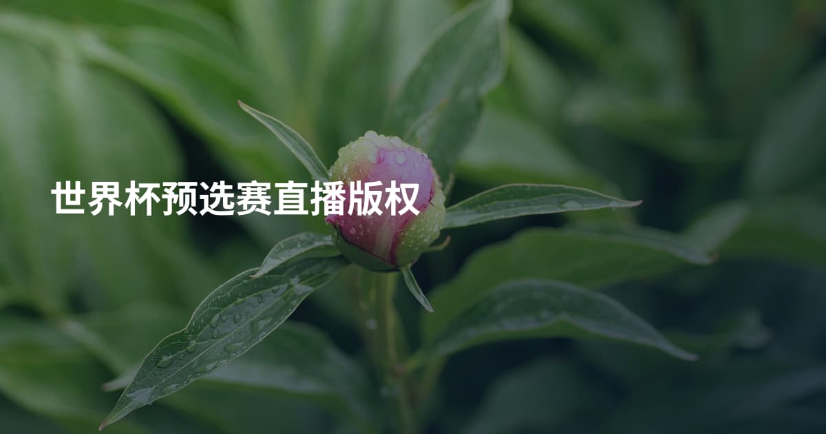 世界杯预选赛直播版权