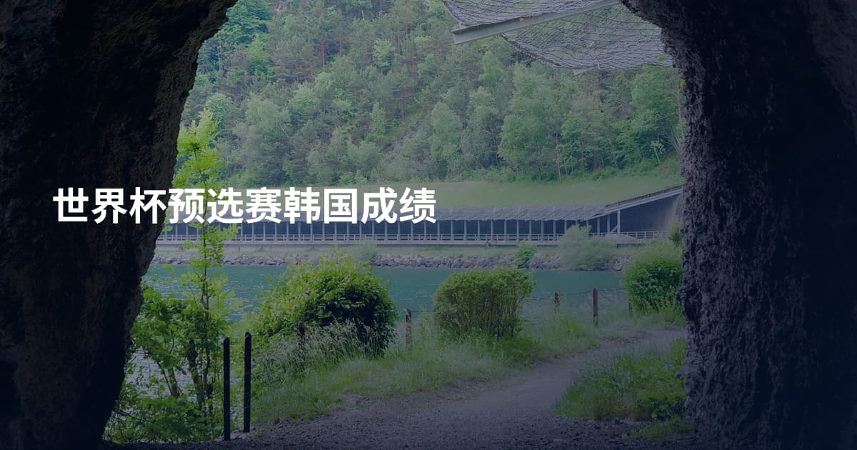 世界杯预选赛韩国成绩