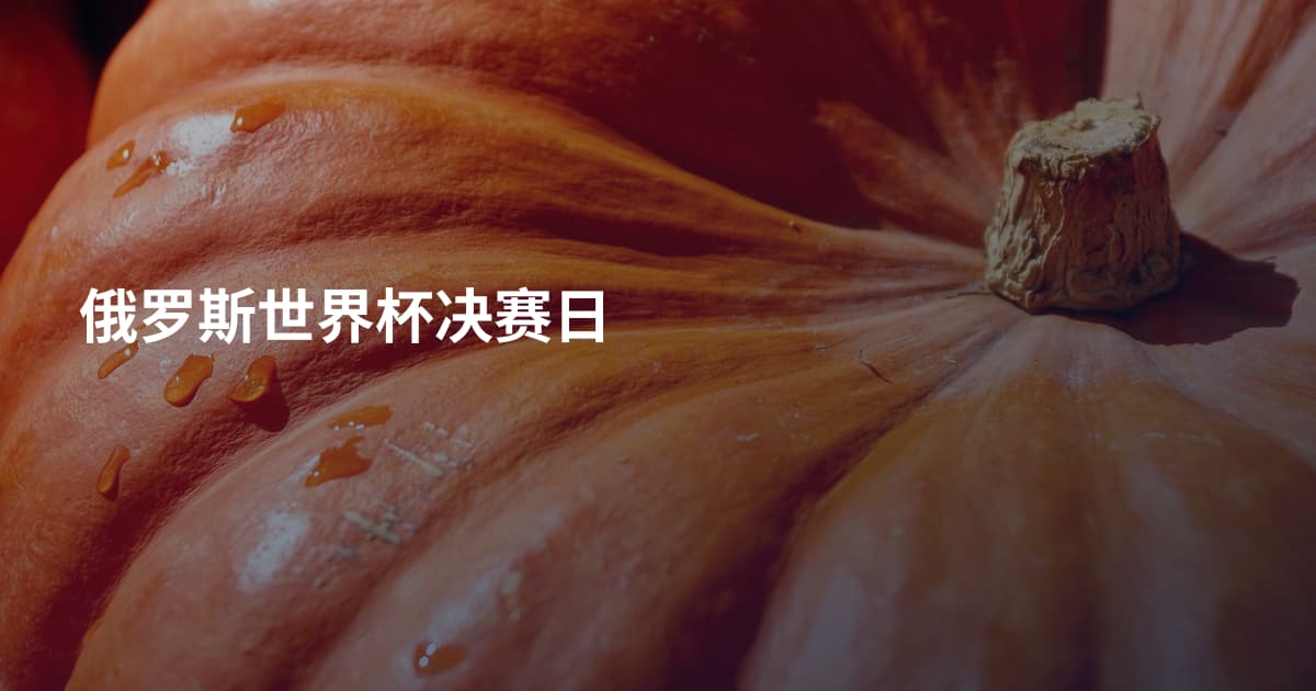 俄罗斯世界杯决赛日