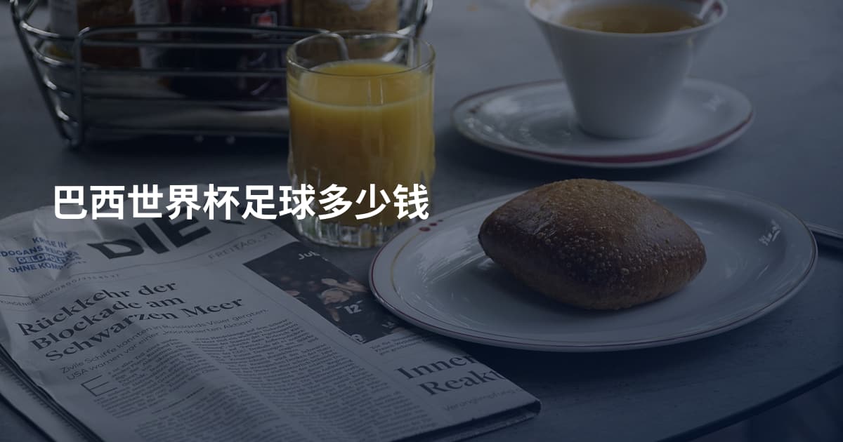 巴西世界杯足球多少钱
