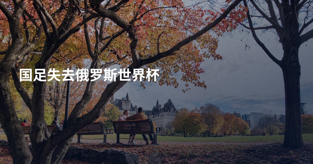 国足失去俄罗斯世界杯