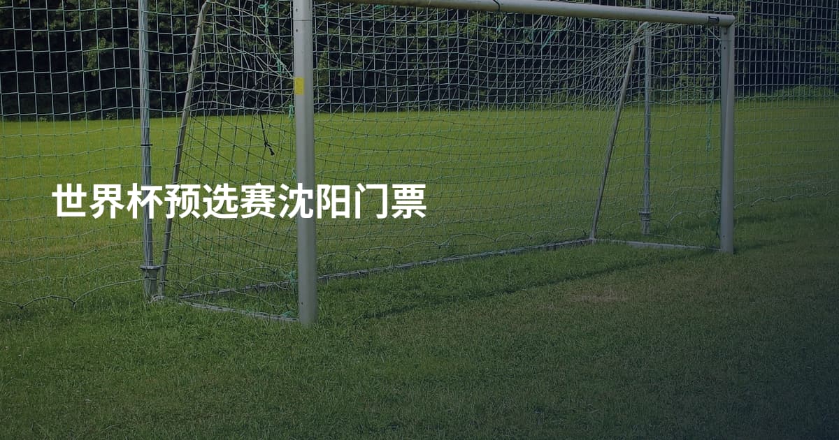 世界杯预选赛沈阳门票
