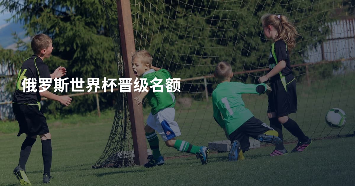 俄罗斯世界杯晋级名额