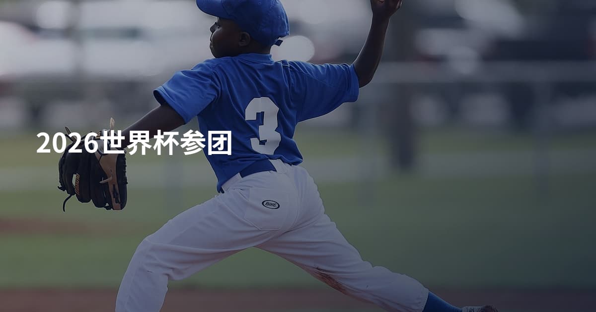 2026世界杯参团