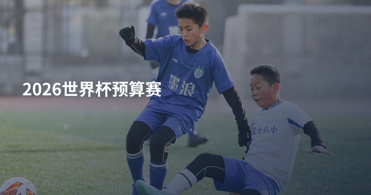 2026世界杯预算赛