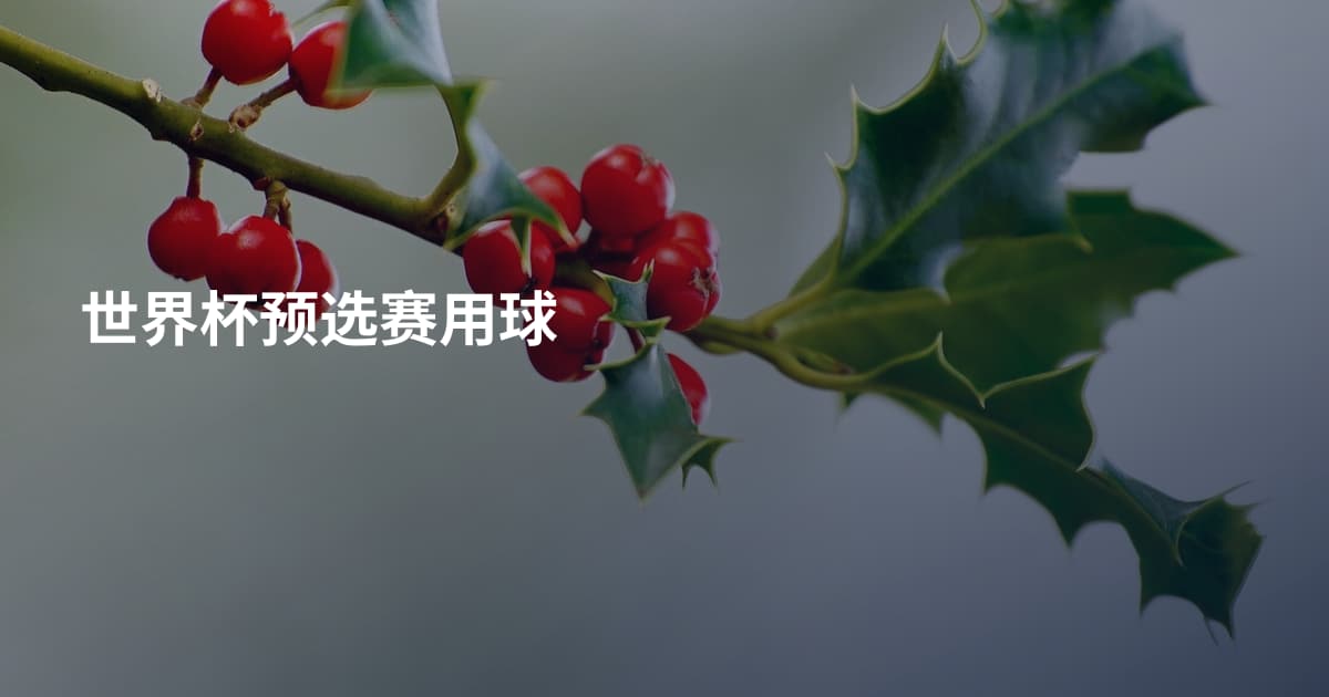 世界杯预选赛用球