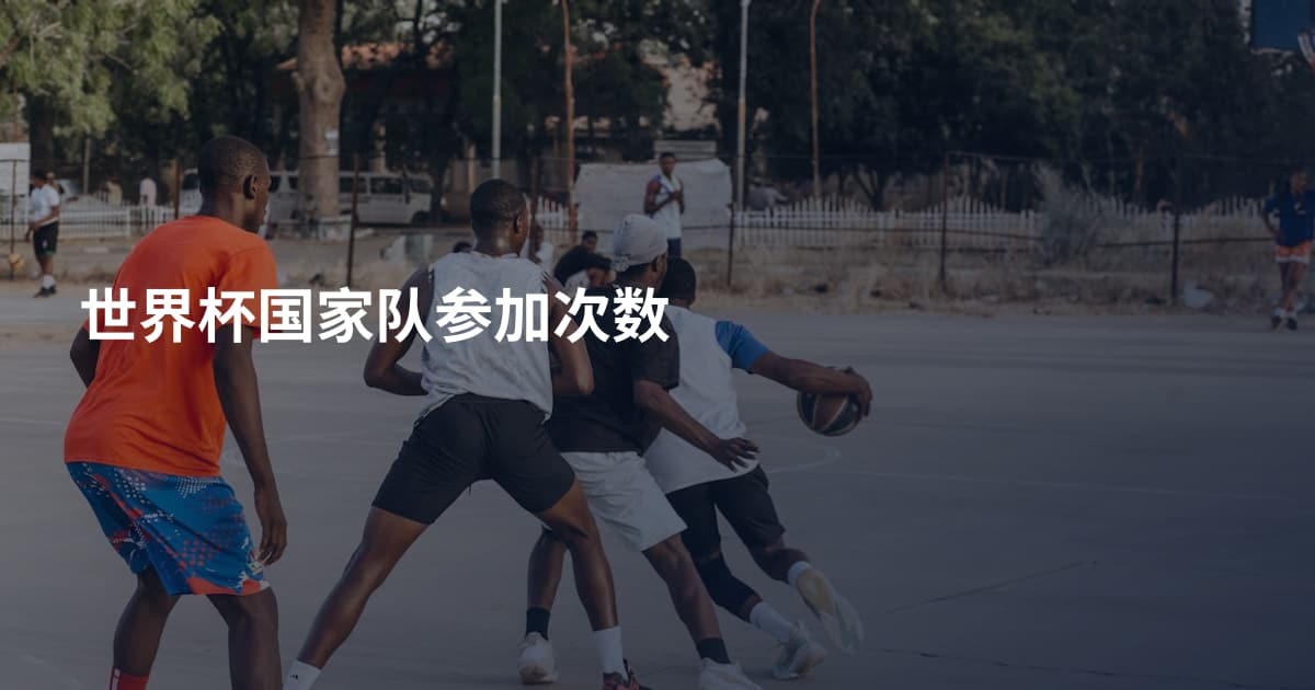 世界杯国家队参加次数