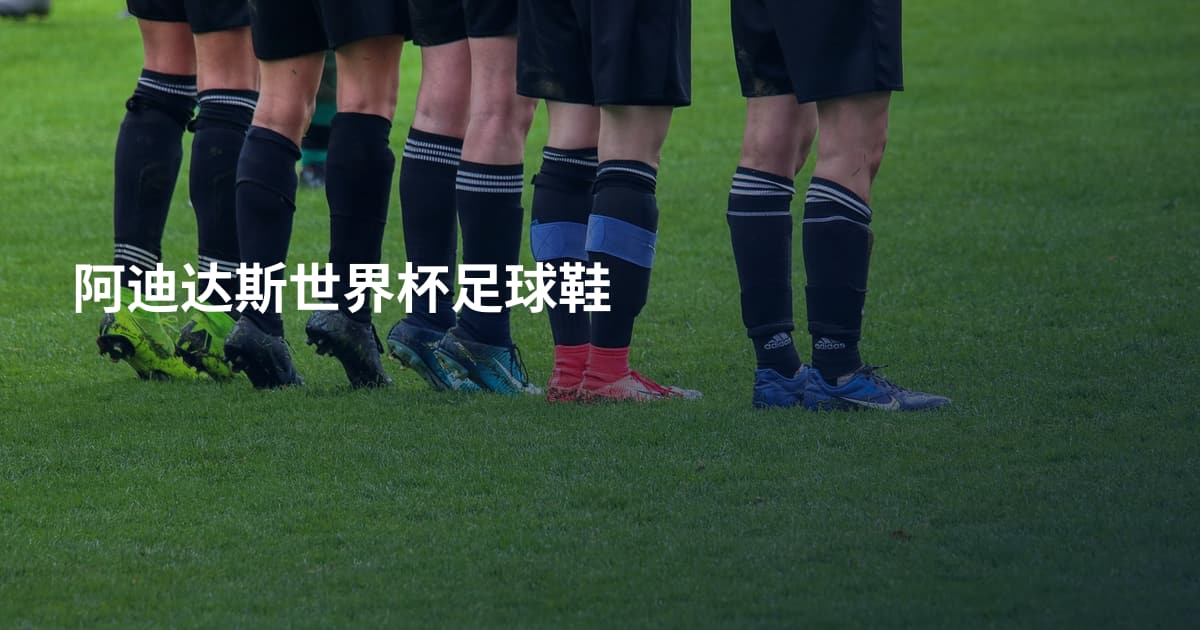 阿迪达斯世界杯足球鞋