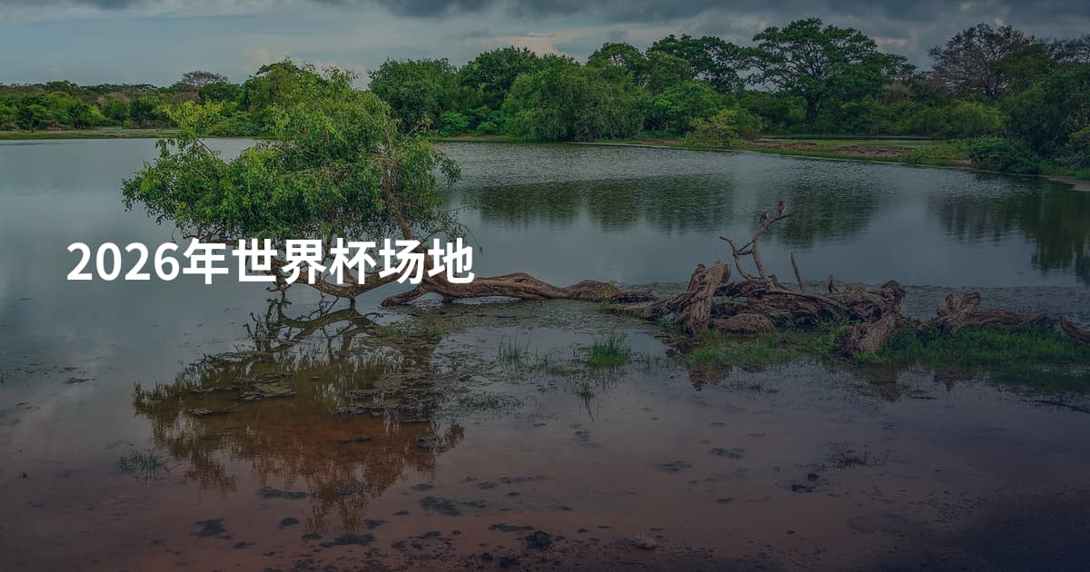 2026年世界杯场地