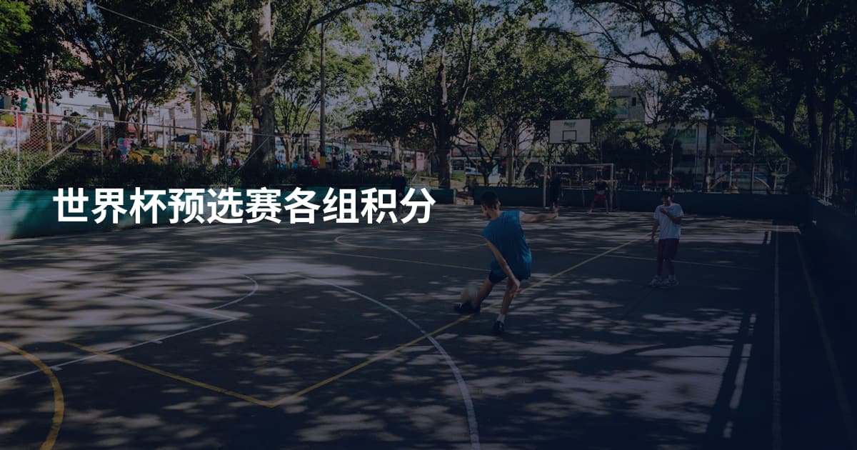 世界杯预选赛各组积分