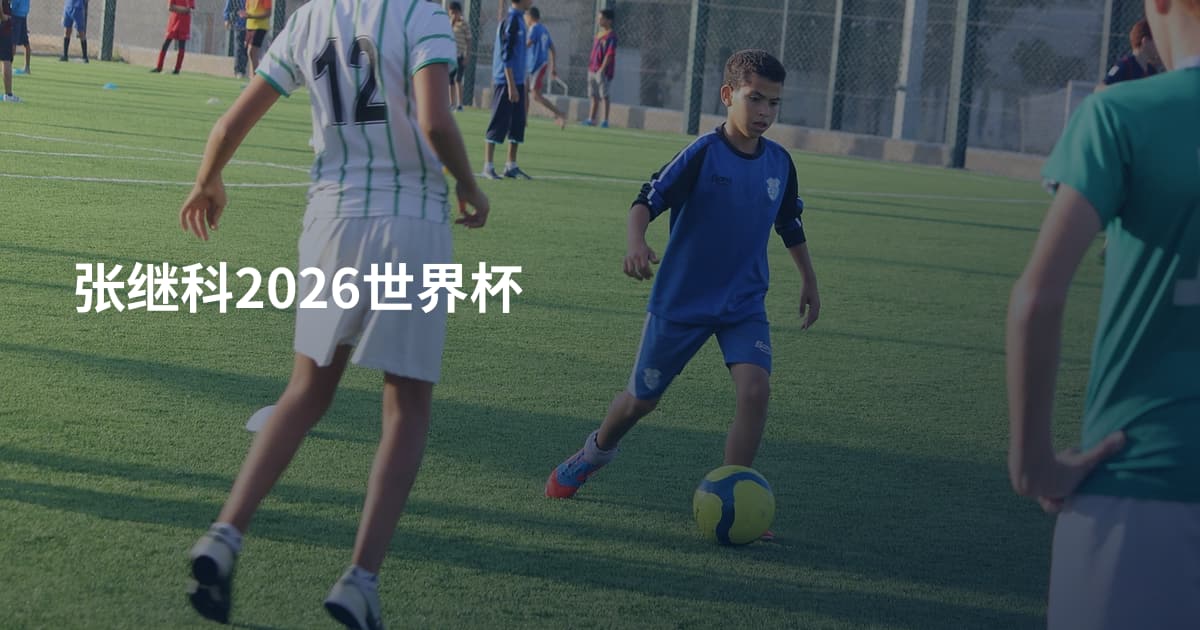 张继科2026世界杯