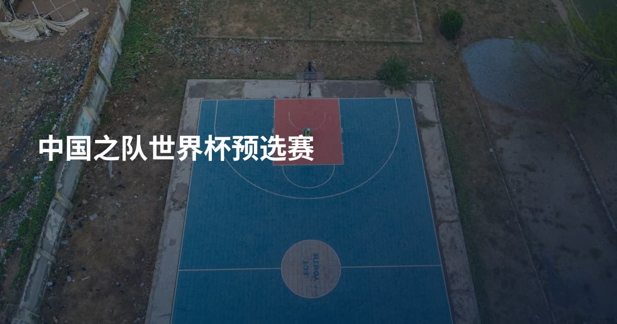 中国之队世界杯预选赛