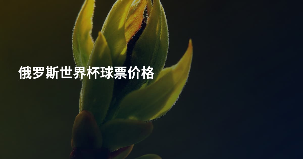 俄罗斯世界杯球票价格