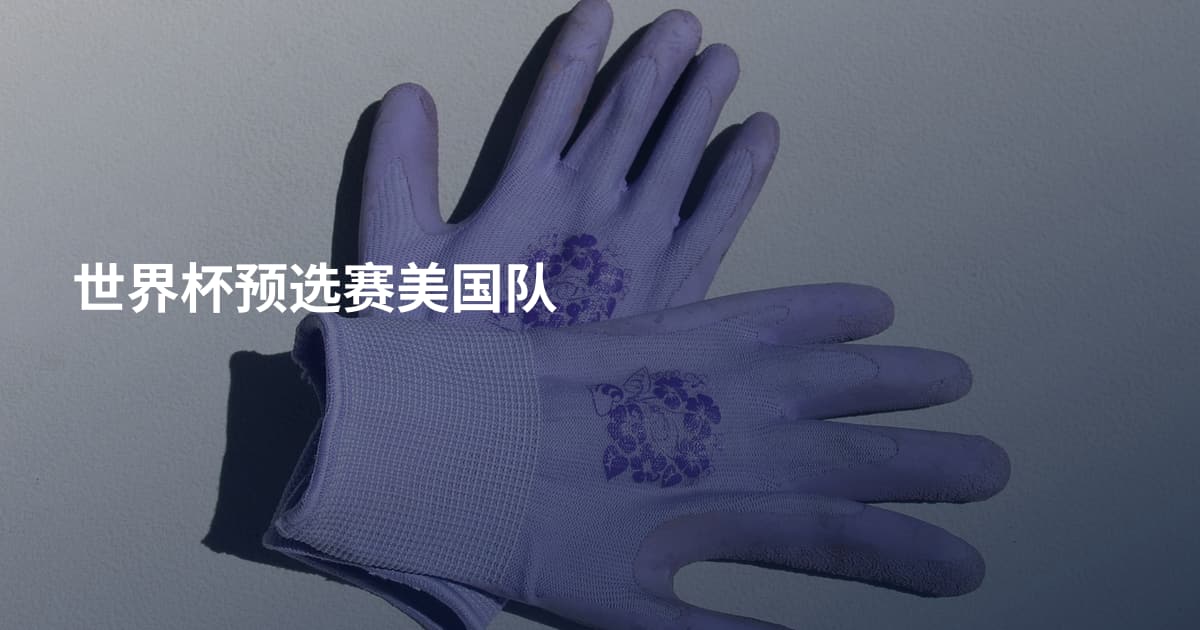 世界杯预选赛美国队