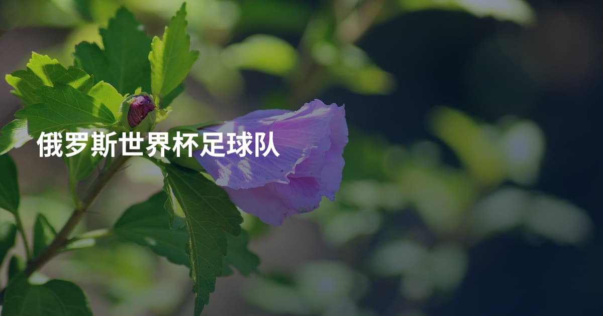 俄罗斯世界杯足球队