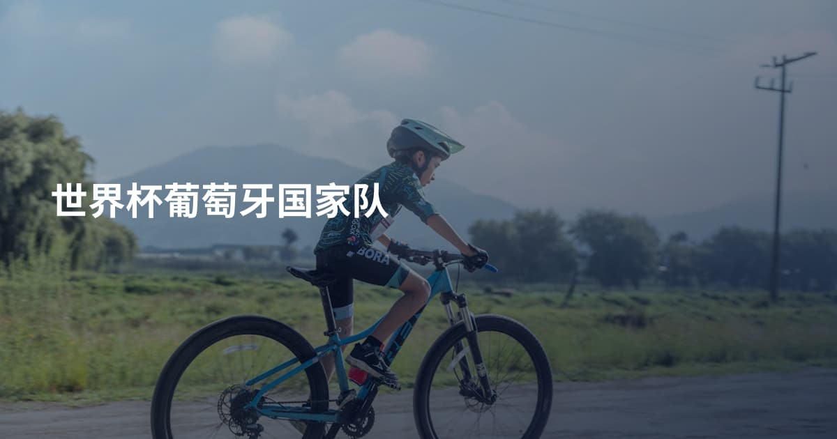 世界杯葡萄牙国家队