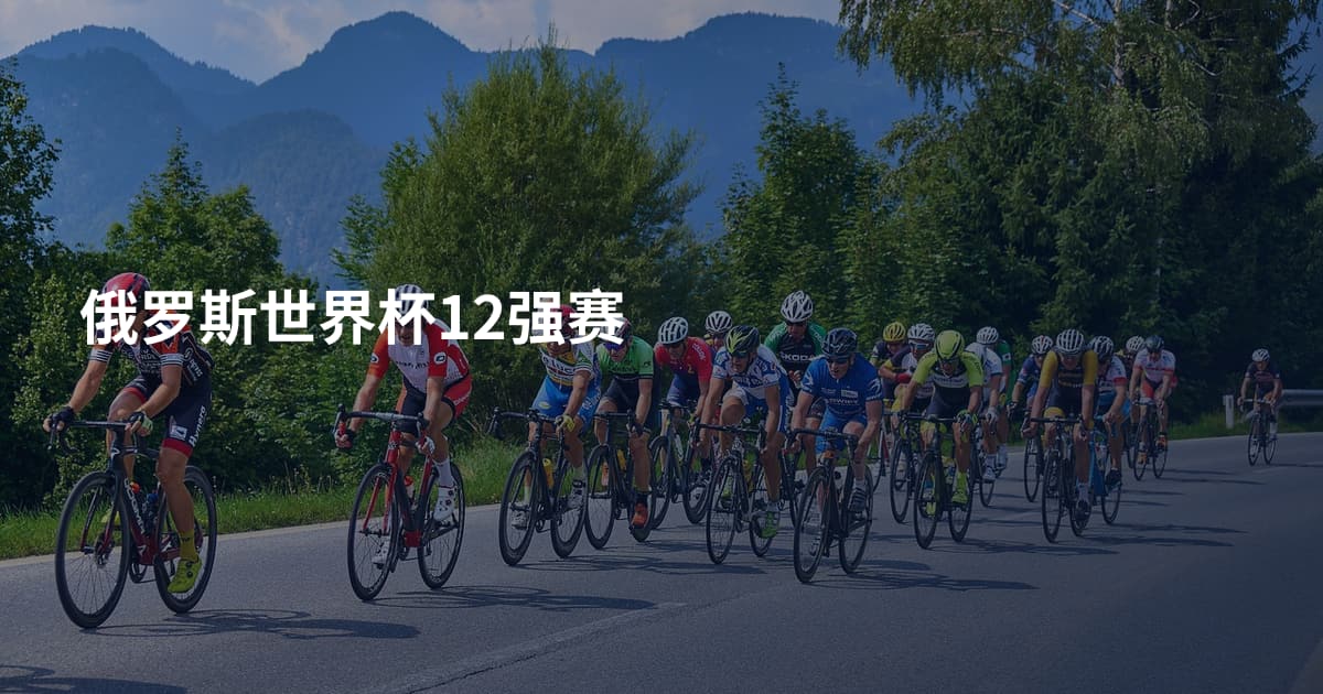 俄罗斯世界杯12强赛